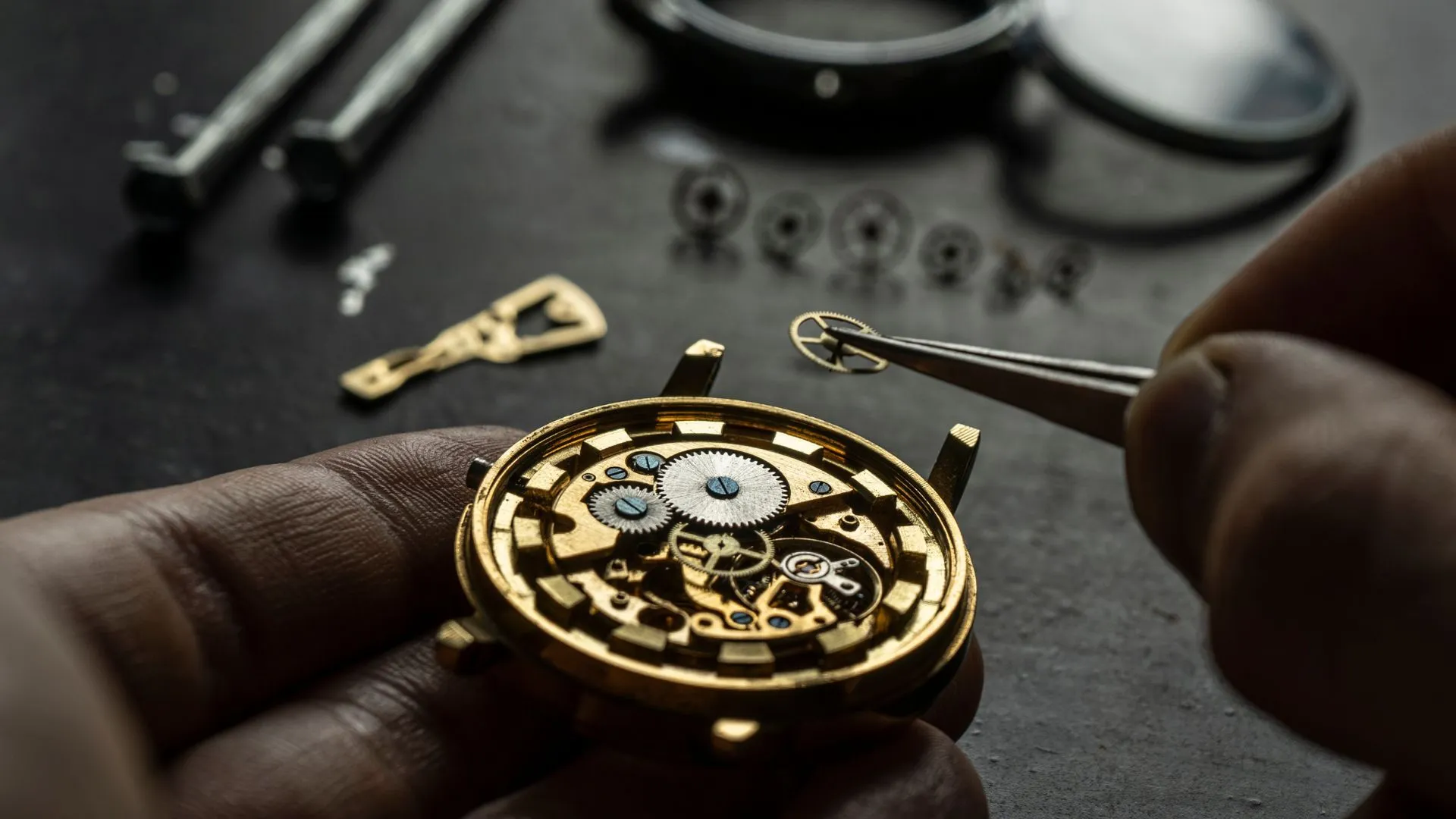 Shop Our New Watch Collection